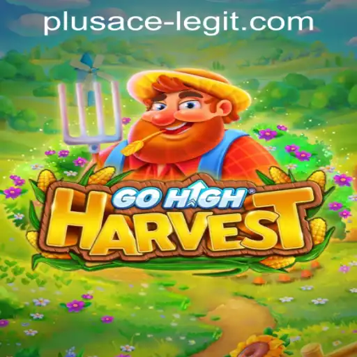 Discovering GoHighHarvest: The Adventurous World and the Truth Behind PLUSACE